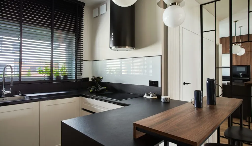 minimalistic modern kitchen