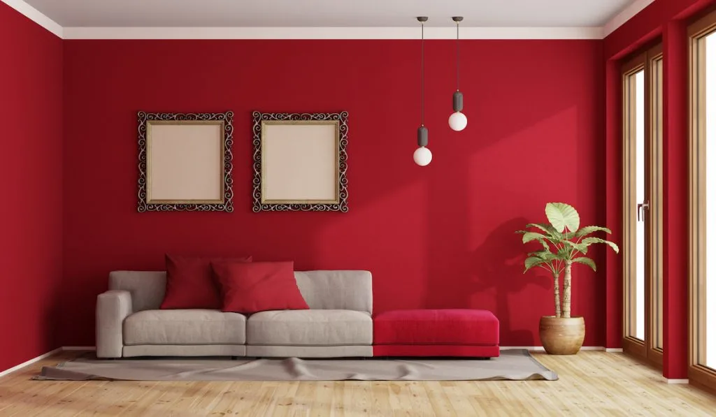 white ceiling living room