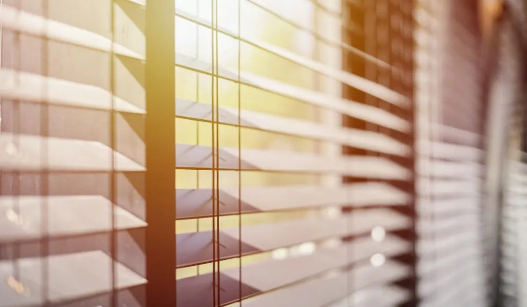 modern wooden office blinds