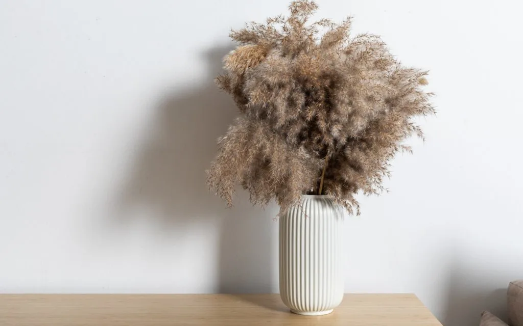 pampas grass in vase