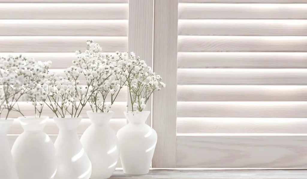 white shutters with white vases and flowers