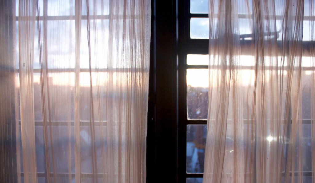 window and window curtains