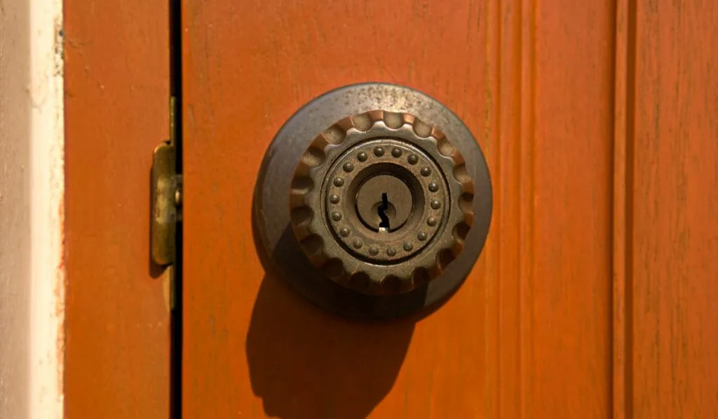 brass door knob on brown wooden door